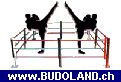www.BUDOLAND.ch - Online Versandhandel f&uuml;r Kampfsportartikel